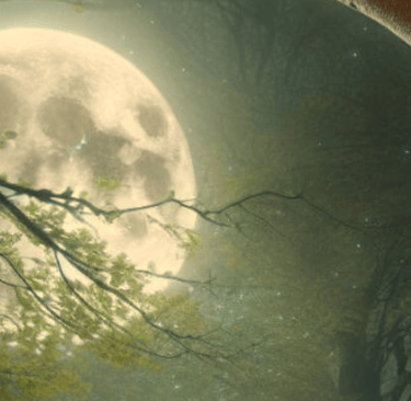 Harvest Moon Rituals Supermoon Rituals Soul Sisters Tarot