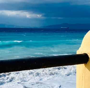 How does the law of attraction work Soul Sisters Tarot