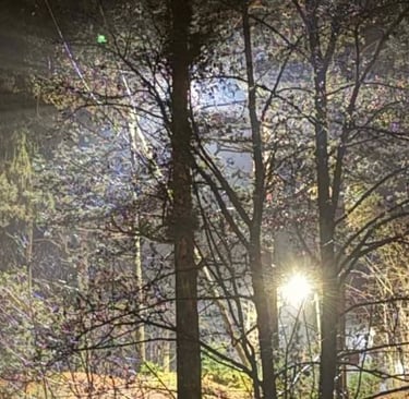 How to do shadow work Soul Sisters Tarot