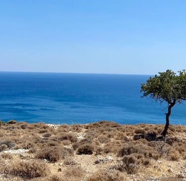 How to Stop Negative Self-Talk Soul Sisters Tarot