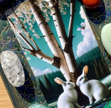 One card tarot reading Soul Sisters Tarot