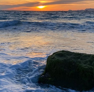 Self-Compassion Exercises Soul Sisters Tarot