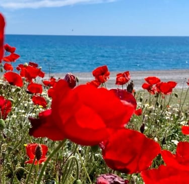 Self-love and healing