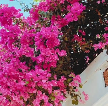 Self-Love Rituals Soul Sisters Tarot