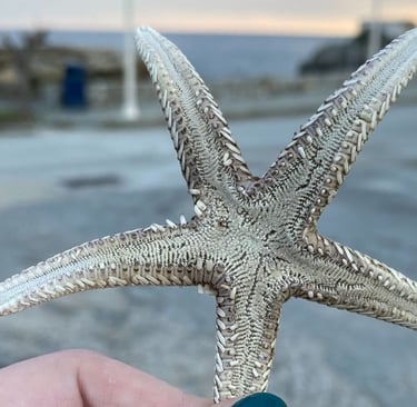 Ways to Take Care of Your Mental Health Soul Sisters Tarot