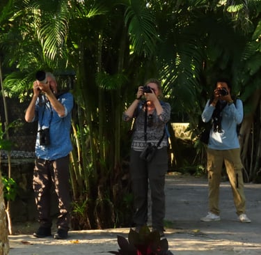 Bird watching tour Bahamas, nature photographers viewing birds