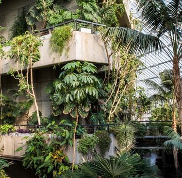 The Numbers Behind Nature, the true ROI of integrating biophilic design into your project