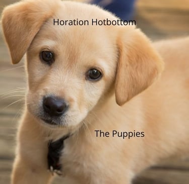 puppy story