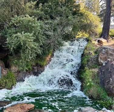 A small but enchanting waterfall near the Portals of the Past in Golden Gate Park