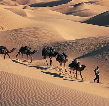 camel ride in tassili