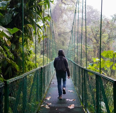 Mystico Hanging Bridge