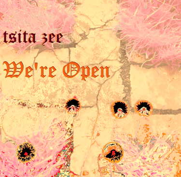 Album cover for "We're Open" with antique letters above sunset stone path, grass, digital flowers.