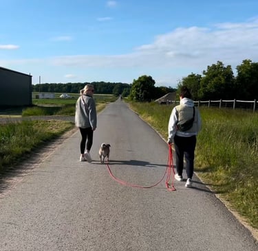 Hundetraining auf einer ruhigen Straße bei Braunschweig