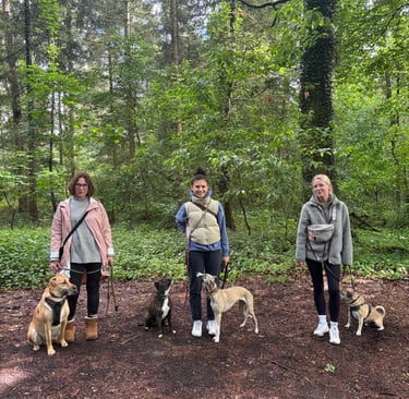 Gruppenfoto vom Social Walk mit Hund in einem Wald