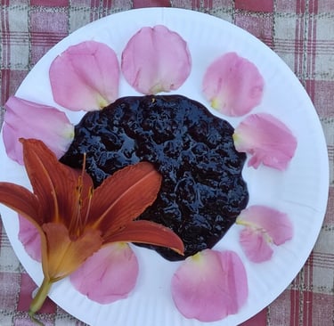 coulis cassis récolté au jardin