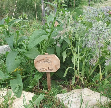 jardin des 5 sens le toucher