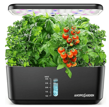 indoor plant garden in black container with plants and tomatoes in it