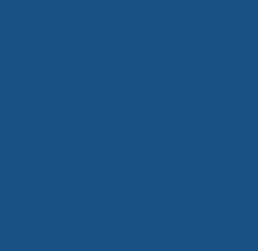 small blue shape