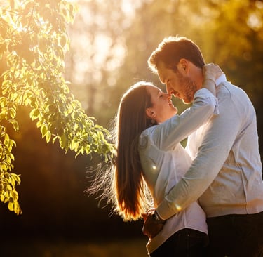 Una coppia si abbraccia in un parco sul Ticino al tramonto durante una sessione fotografica prewedding