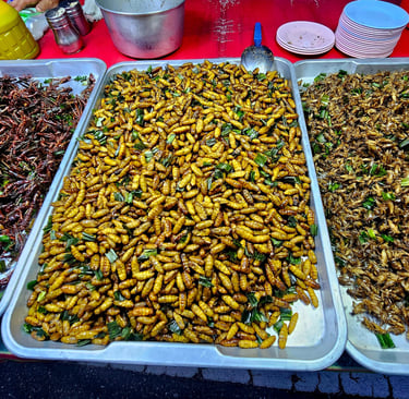 Edible insects, Thailand.