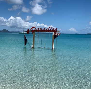 a beach scene and sign that says BVI and Paradise in the British Virgin Islands 