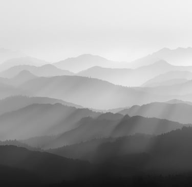 Grey Scale Mindset graphic illustrating trust as a mechanism for managing organizational complexity