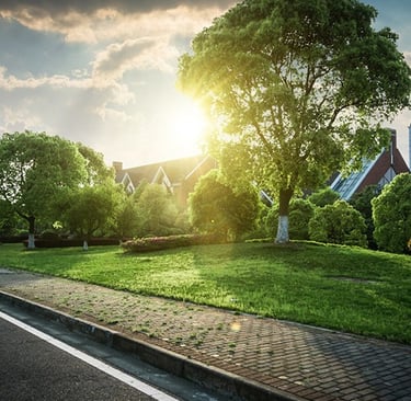 real-estate-photo-editing-lawn-replacement 