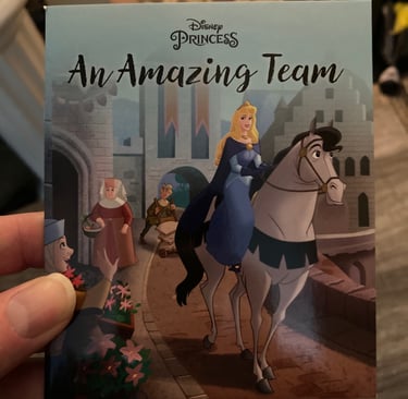 Princess Advent Calendar - Aurora, An Amazing Team
