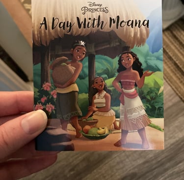 Princess Advent Calendar - A Day With Moana Cover