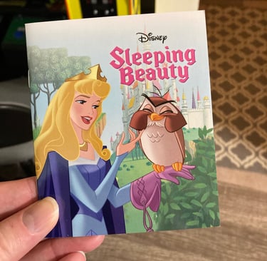 Princess Advent Calendar: Sleeping Beauty