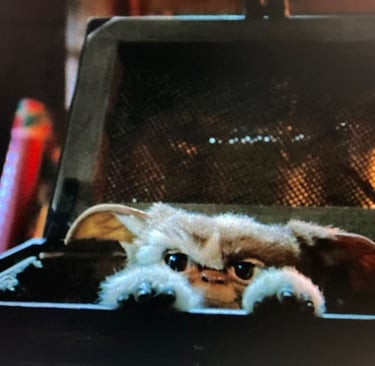 Gremlins - Gizmo Introduced