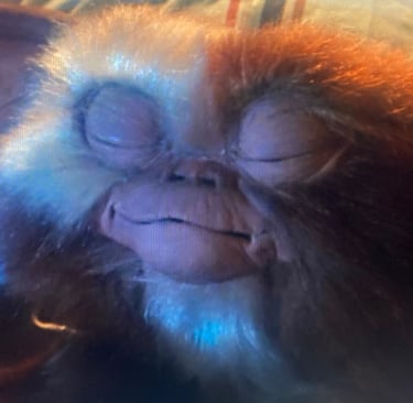 Gremlins -Gizmo's Wizardry