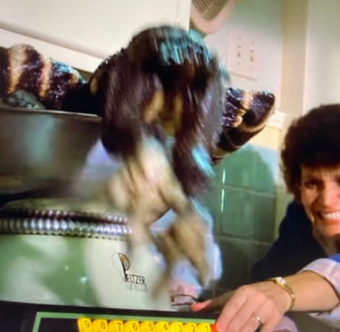Gremlins - A Blend of Gremlin, a Pinch of Menace