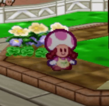 Paper Mario - Almost Toadette...