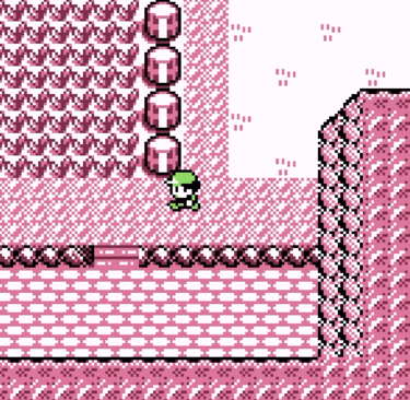 Pokemon on the Hunt