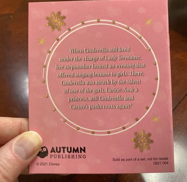 Disney's Princess Advent Calendar Opening Night Backside