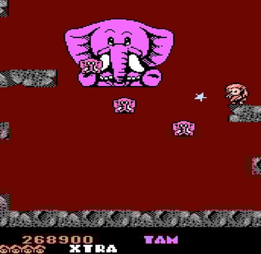 Rodland NES Elephant Boss