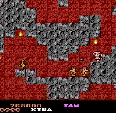 Rodland Famicom Elephant Caverns