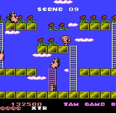 Rodland Famicom Scene 9