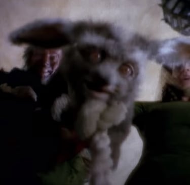 A Story Short, Made a Hare