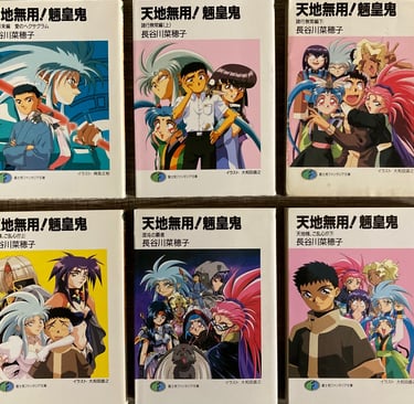 Tenchi Muyo! Hasegawa Light Novels 1-6