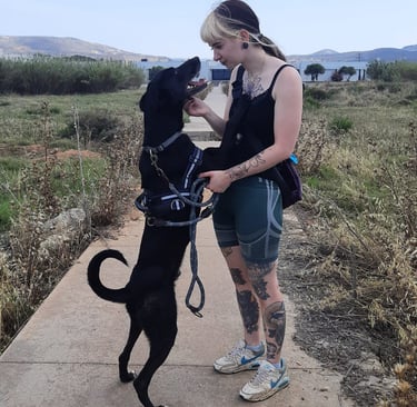 Randalhunde Leipzig mit schwarzem Hund