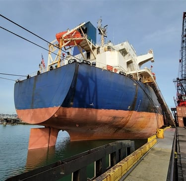 Bulk carrier Condition Survey New Orleans