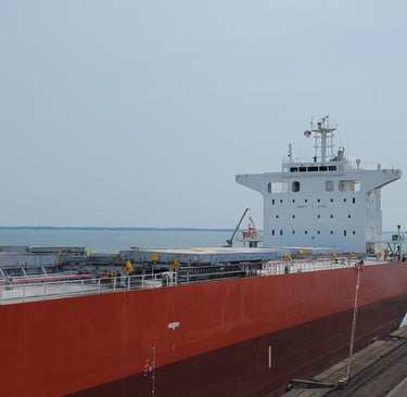 Bulk carrier survey and cargo hold inspection at the Port of Norfolk