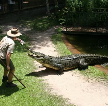 A hungry salty could not be missed.