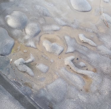 Flat Roof survey Mastic Asphalt issues blistering trapped moisture Co. Offaly 