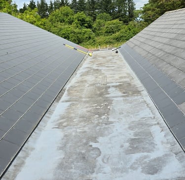 Flat Roof Survey School Single Ply PVC ventilation issues condensation roof build up Co. Galway