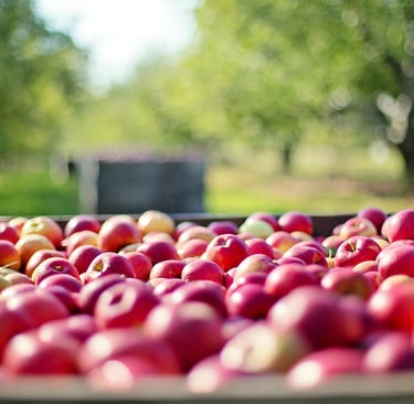 a crate of apples in a crate of apples