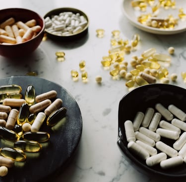 ernährungsberatung-für-hunde-soltau