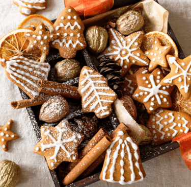 ernĂ€hrungsberatung-fĂŒr-hunde-soltau